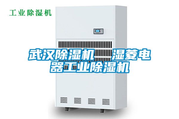 武漢除濕機(jī)  濕菱電器工業(yè)除濕機(jī)