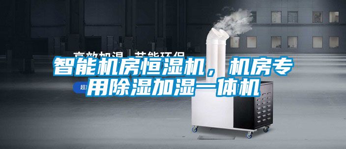 智能機房恒濕機，機房專用除濕加濕一體機