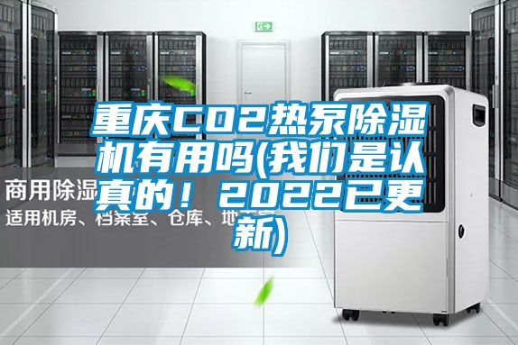 重慶CO2熱泵除濕機有用嗎(我們是認真的！2022已更新)