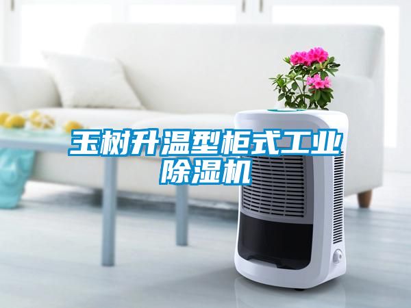 玉樹升溫型柜式工業除濕機