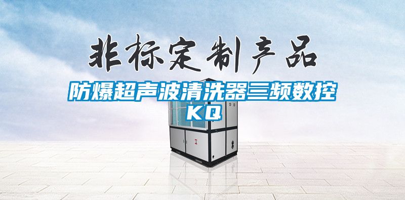 防爆超聲波清洗器三頻數控KQ