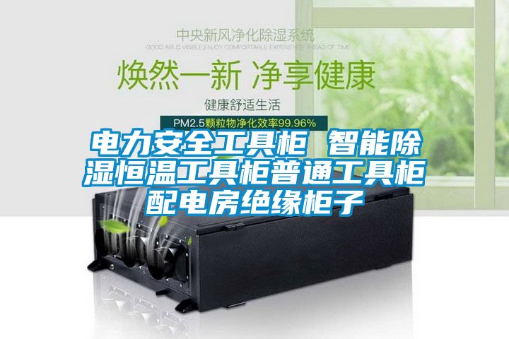 電力安全工具柜 智能除濕恒溫工具柜普通工具柜配電房絕緣柜子