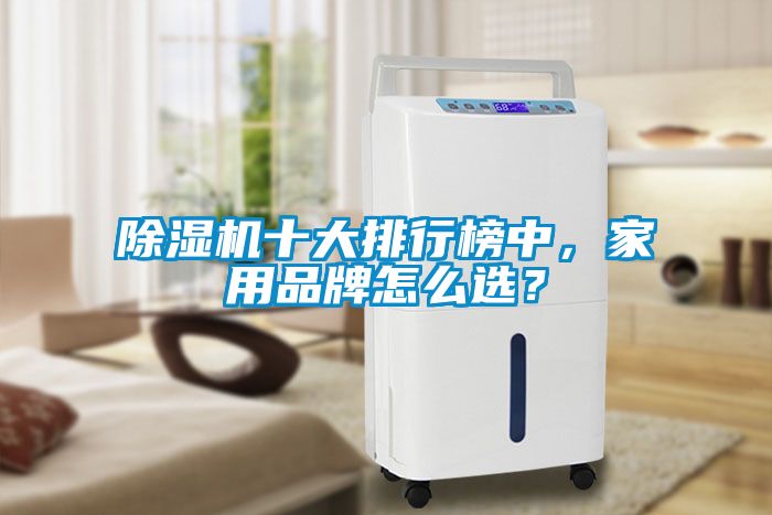 除濕機十大排行榜中，家用品牌怎么選？