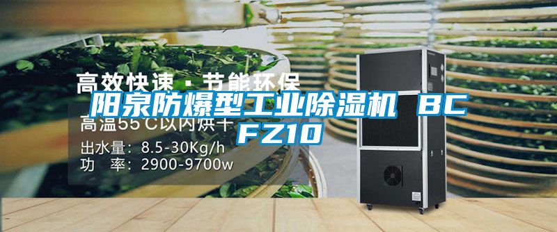 陽泉防爆型工業除濕機 BCFZ10