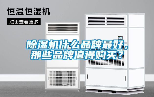 除濕機(jī)什么品牌最好，那些品牌值得購買？