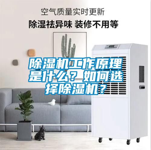 除濕機工作原理是什么？如何選擇除濕機？