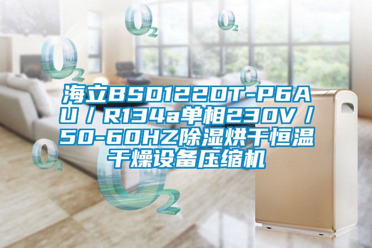 海立BSD122DT-P6AU／R134a單相230V／50-60HZ除濕烘干恒溫干燥設備壓縮機