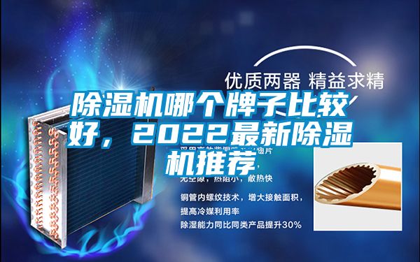 除濕機哪個牌子比較好，2022最新除濕機推薦