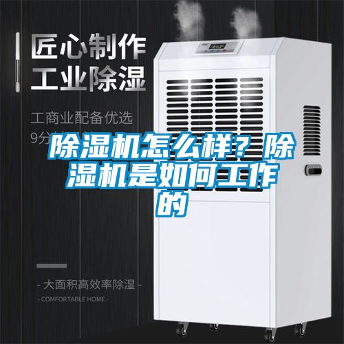 除濕機怎么樣？除濕機是如何工作的