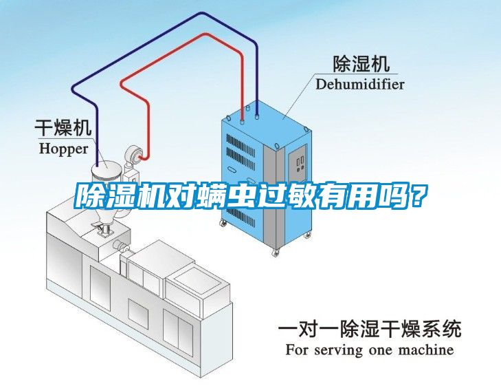 除濕機對螨蟲過敏有用嗎？