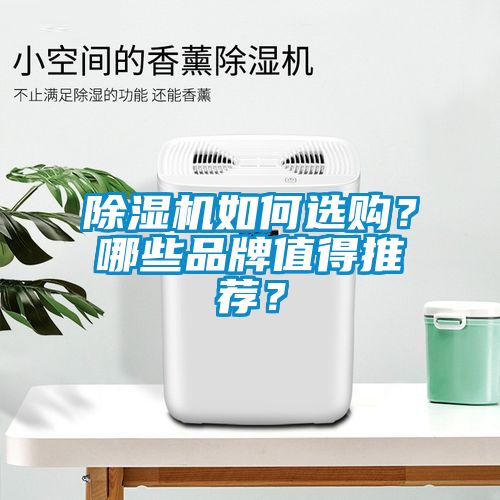 除濕機如何選購？哪些品牌值得推薦？