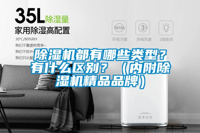 除濕機都有哪些類型？有什么區別？（內附除濕機精品品牌）