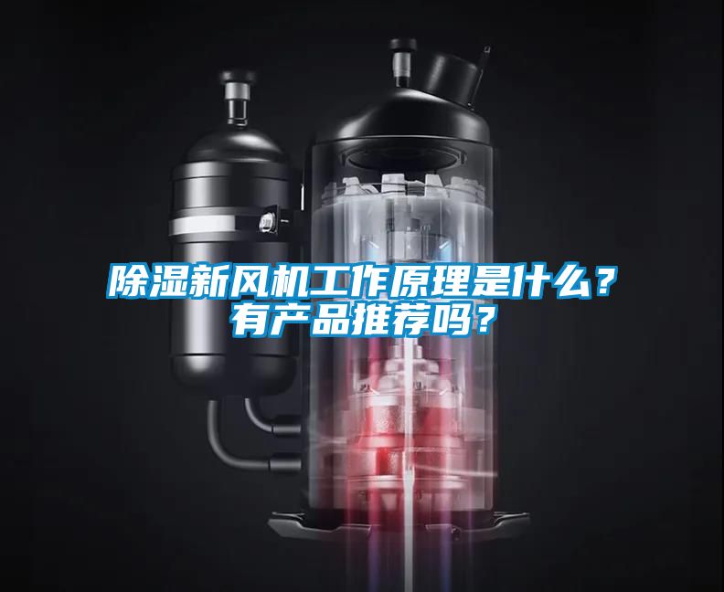 除濕新風機工作原理是什么？有產(chǎn)品推薦嗎？