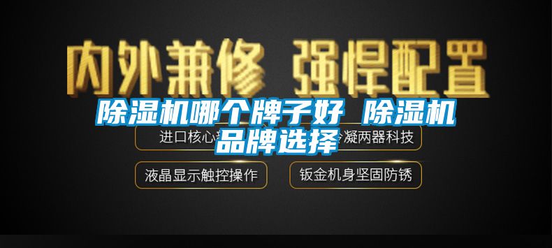 除濕機(jī)哪個(gè)牌子好 除濕機(jī)品牌選擇