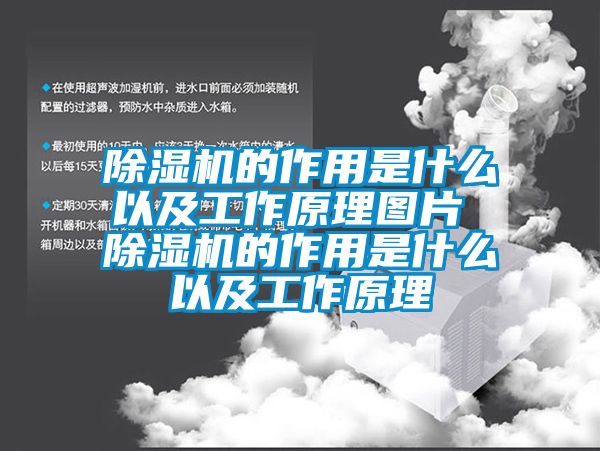 除濕機的作用是什么以及工作原理圖片 除濕機的作用是什么以及工作原理