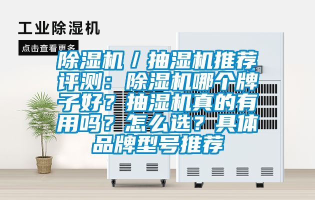 除濕機／抽濕機推薦評測：除濕機哪個牌子好？抽濕機真的有用嗎？怎么選？具體品牌型號推薦