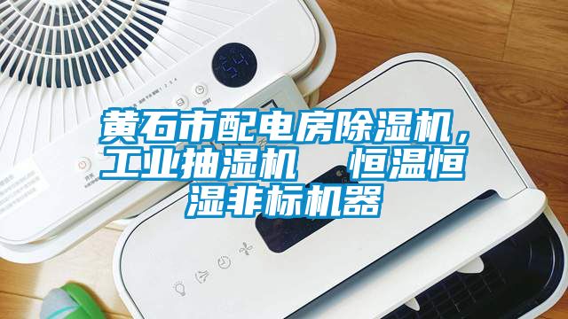 黃石市配電房除濕機，工業抽濕機  恒溫恒濕非標機器